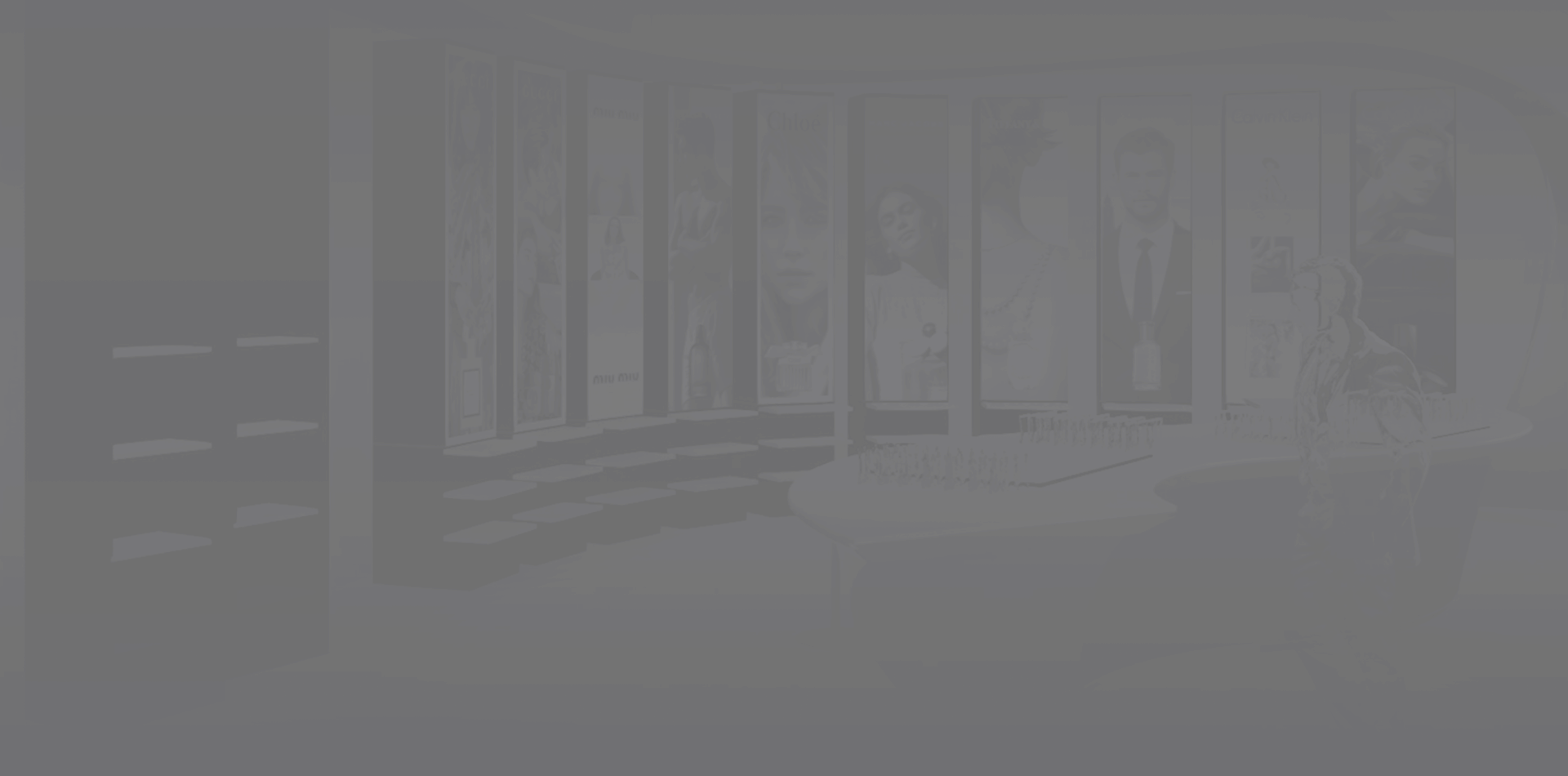 Il s'agit des ombres du mobilier du fond d'écran de la page 5.